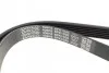 <strong>Ремінь поліклиновий DAYCO 6PK1035 (фото 3)</strong>