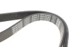 <strong>Ремінь генератора Ford Fiesta/Focus/Fusion 1.25-1.6 98-12 DAYCO 6PK1042EE (фото 3)</strong>