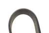 <strong>Ремінь генератора Ford Fiesta/Focus/Fusion 1.25-1.6 98-12 DAYCO 6PK1042EE (фото 4)</strong>