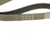 <strong>Ремінь поліклиновий DAYCO 6PK1065 (фото 3)</strong>