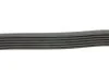 <strong>Ремінь генератора BMW 7 5.0 87-94 DAYCO 6PK1082 (фото 2)</strong>