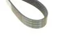 <strong>Ремінь генератора BMW 7 5.0 87-94 DAYCO 6PK1082 (фото 3)</strong>