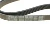 <strong>Ремінь генератора BMW 7 5.0 87-94 DAYCO 6PK1082 (фото 4)</strong>