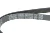 <strong>Ремінь поліклиновий DAYCO 6PK1090EE (фото 4)</strong>