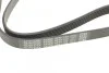 <strong>Ремінь поліклиновий DAYCO 6PK1100 (фото 4)</strong>