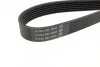 <strong>Ремінь поліклиновий DAYCO 6PK1105 (фото 2)</strong>