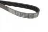 <strong>Ремінь поліклиновий DAYCO 6PK1105 (фото 3)</strong>