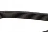 <strong>Ремінь поліклиновий DAYCO 6PK1105 (фото 4)</strong>