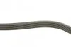 <strong>Ремінь поліклиновий DAYCO 6PK1115 (фото 2)</strong>
