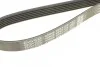 <strong>Ремінь поліклиновий DAYCO 6PK1115 (фото 4)</strong>