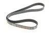 <strong>Ремінь генератора поліклиновий DAYCO 6PK1120HD (фото 1)</strong>