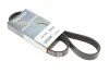 <strong>Ремінь генератора поліклиновий DAYCO 6PK1120HD (фото 2)</strong>