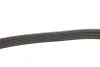 <strong>Ремінь генератора поліклиновий DAYCO 6PK1120HD (фото 3)</strong>