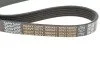 <strong>Ремінь генератора поліклиновий DAYCO 6PK1120HD (фото 5)</strong>