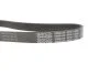 <strong>Доріжковий пас DAYCO 6PK1120S (фото 3)</strong>