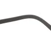 <strong>Доріжковий пас DAYCO 6PK1120S (фото 4)</strong>