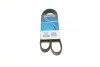 <strong>Пас поліклиновий Citroen Jumper 1.9TD 94-02 (ALT,P DAYCO 6PK1130 (фото 1)</strong>