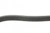 <strong>Пас поліклиновий Citroen Jumper 1.9TD 94-02 (ALT,P DAYCO 6PK1130 (фото 3)</strong>