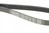 <strong>Пас поліклиновий Citroen Jumper 1.9TD 94-02 (ALT,P DAYCO 6PK1130 (фото 5)</strong>