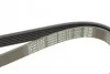 <strong>Ремінь поліклиновий DAYCO 6PK1137 (фото 4)</strong>