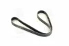<strong>Ремень поликлиновой Dayco DAYCO 6PK1141 (фото 1)</strong>