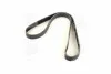 <strong>Ремень поликлиновой Dayco DAYCO 6PK1141 (фото 4)</strong>