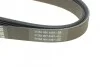 <strong>Ремінь поліклиновий DAYCO 6PK1145 (фото 3)</strong>