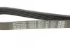 <strong>Ремінь поліклиновий DAYCO 6PK1145 (фото 4)</strong>