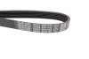 <strong>Ремінь поліклиновий DAYCO 6PK1155 (фото 2)</strong>