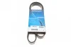 <strong>Ремінь поліклиновий DAYCO 6PK1160 (фото 1)</strong>