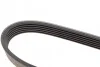 <strong>Ремінь генератора BMW F20/F30/F32 B38/B48 14- DAYCO 6PK1163 (фото 3)</strong>