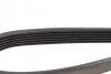 <strong>Ремінь поліклиновий DAYCO 6PK1165 (фото 3)</strong>