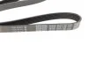 <strong>Ремінь генератора Renault Duster/Logan/Sandero 1.5 dCi 10- DAYCO 6PK1178 (фото 2)</strong>