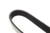 <strong>Ремінь генератора Renault Duster/Logan/Sandero 1.5 dCi 10- DAYCO 6PK1178 (фото 3)</strong>