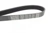 <strong>Ремінь поліклиновий DAYCO 6PK1185 (фото 3)</strong>