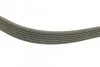 <strong>Ремінь поліклиновий DAYCO 6PK1200 (фото 2)</strong>