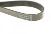 <strong>Ремінь поліклиновий DAYCO 6PK1200 (фото 3)</strong>