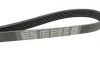 <strong>Ремінь поліклиновий DAYCO 6PK1209 (фото 3)</strong>
