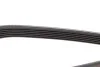 <strong>Ремінь поліклиновий DAYCO 6PK1209 (фото 4)</strong>