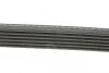 <strong>Ремінь поліклиновий DAYCO 6PK1215 (фото 2)</strong>
