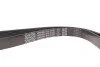 <strong>Ремінь генератора Toyota Corolla 1.4 D4-D 04-07 DAYCO 6PK1245DT (фото 4)</strong>
