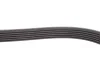 <strong>Ремінь полікліновий DAYCO 6PK1250HD (фото 3)</strong>