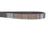 <strong>Ремінь полікліновий DAYCO 6PK1250HD (фото 4)</strong>