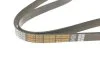 <strong>Ремінь струмковий DAYCO 6PK1255HD (фото 2)</strong>