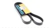 <strong>Ремінь генератора поліклиновий DAYCO 6PK1267HD (фото 1)</strong>