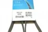 <strong>Ремінь поліклиновий DAYCO 6PK1270 (фото 6)</strong>