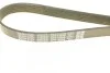 <strong>Ремінь поліклиновий DAYCO 6PK1323S (фото 4)</strong>