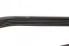 <strong>Ремінь поліклиновий DAYCO 6PK1335 (фото 3)</strong>