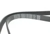 <strong>Ремінь генератора Kangoo 1.9D DAYCO 6PK1395S (фото 4)</strong>