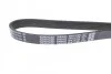 <strong>Ремінь генератора Opel Vectra 1.9 CDTI 04- DAYCO 6PK1410S (фото 2)</strong>